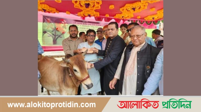 সেনবাগে বঙ্গবন্ধুর শাহাদাত বার্ষিকী পালনে গরু ও নগদ টাকা বিতরণ