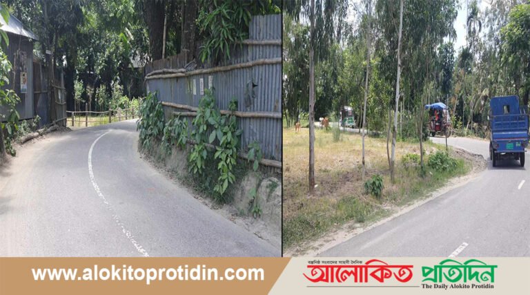 ঘাটাইল-ভূঞাপুর সড়কে ১১ কিলোমিটার ৭৬ বাঁক!