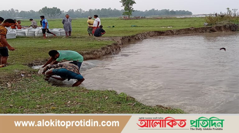 যমুনা নদীর ভাঙনে দিশেহারা মানুষ 