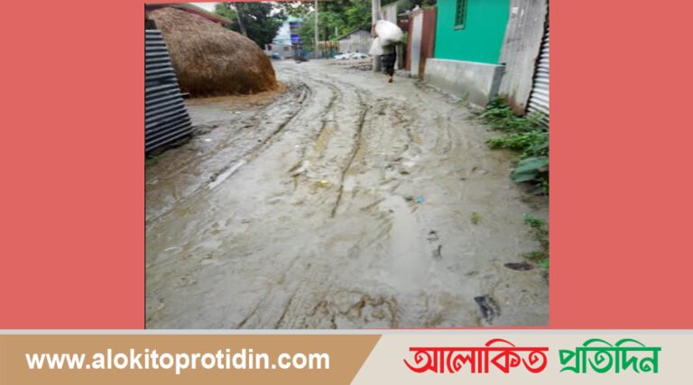 ঘাটাইল উপজেলার বীরচারি গ্রামের রাস্তাটি এখনো কাদাময়
