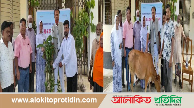 লংগদুতে SID-CHT প্রকল্পের আওতায় গরু ও চারা বিতরণ