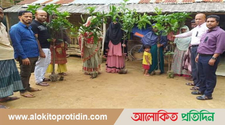 ১৫ আগস্ট  উপলক্ষে  গ্রামীণ ব্যাংকের চারা বিতরণ