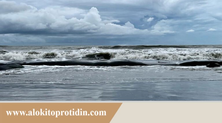 বঙ্গোপসাগরে লঘুচাপ বাড়তে পারে দিনের তাপমাত্রা