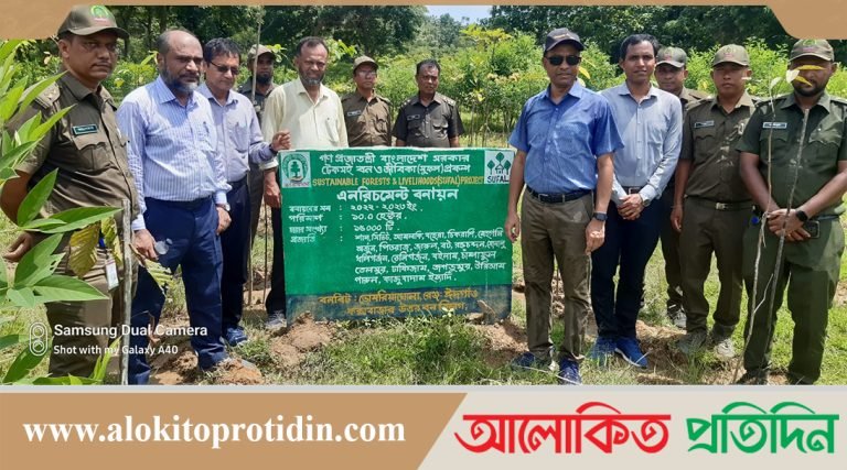 জীবন যাত্রার মান উন্নয়নে বনায়ন ইতিবাচক ভূমিকা পালন করবে