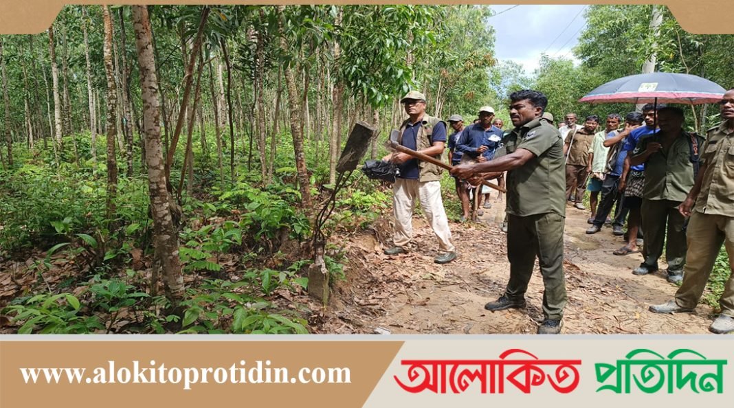 বনের জায়গা দখল করে প্লট আকারে বিক্রি