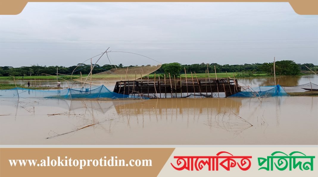 জলাশয় নিষিদ্ধ জাল বিপন্ন হচ্ছে দেশীয় মাছ