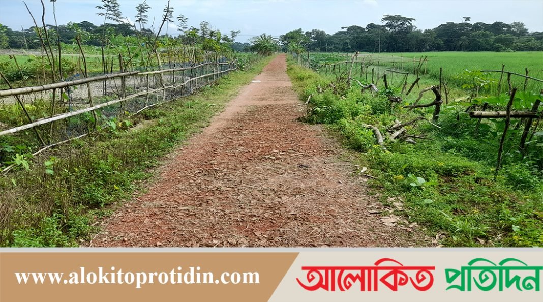 ২১মাসের কাজ,শেষ হয়নি পাঁচ বছরে