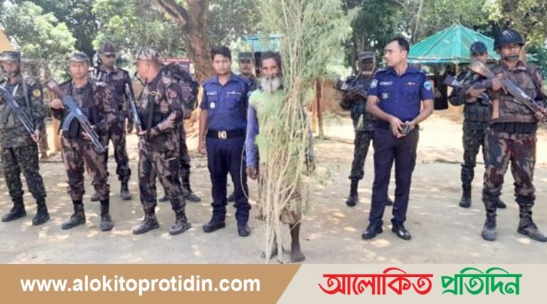 লংগদুতে নিজবাড়ি থেকে গাঁজার গাছ উদ্ধার 