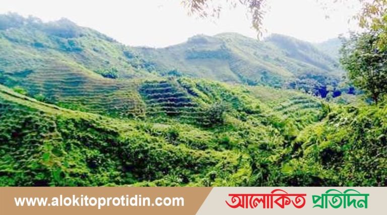 টেকনাফের বাহারছড়া পাহাড় থেকে যুবক অপহরণ