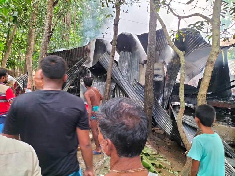 আলফাডাঙ্গায় পবনবেগ মালোপাড়ায় অগ্নিকাণ্ডে ম্লান জেলে পরিবারের পূজার আনন্দ