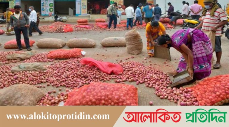 রাজবাড়ীর চাষিরা বলছেন/  এবার নতুন পেঁয়াজ বাজারে আসবে দেরিতে
