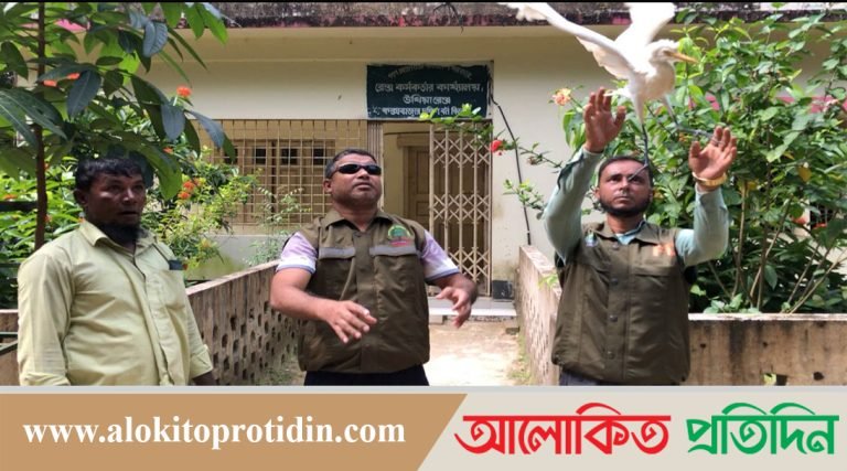  মুক্ত আকাশে ডানা মিললো ৬০ টি সাদা বক