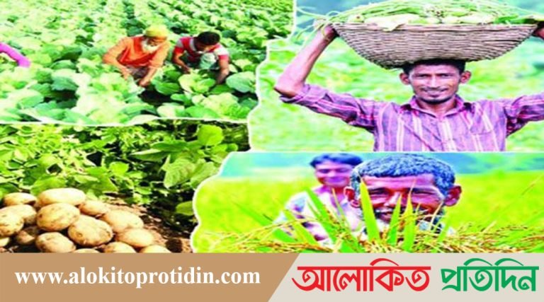 ফসল আবাদে বৈচিত্র্য, বেড়েছে পণ্য উৎপাদন
