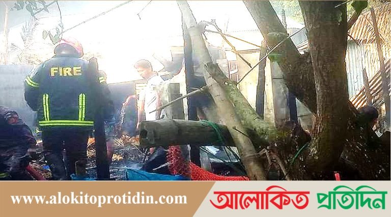 কাশিয়ানীতে আগুনে পুড়লো ক্ষুদ্র খামারির স্বপ্ন