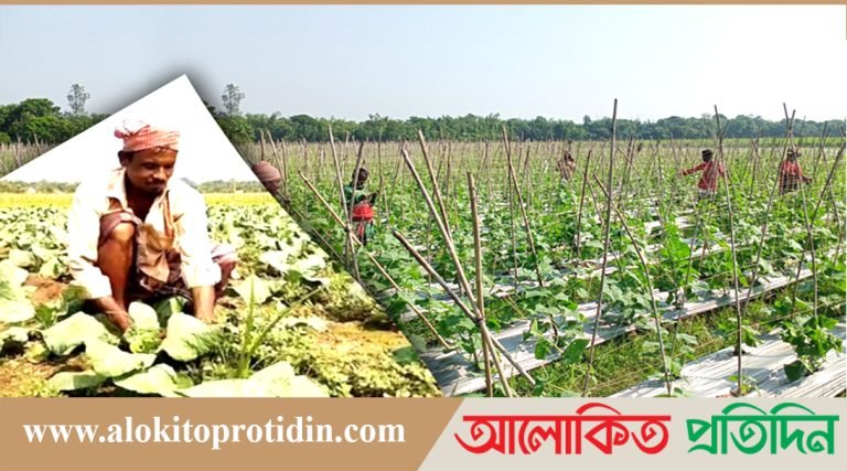 আবহাওয়ার বিরূপ প্রভাব, রবিশস্য উৎপাদনে শঙ্কা