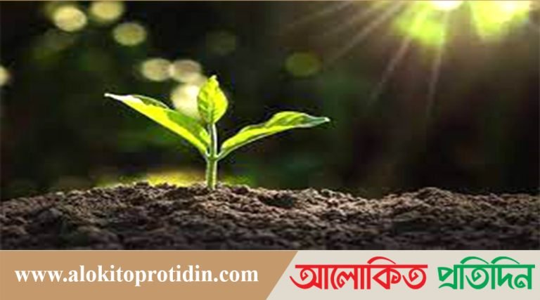 দুর্বল হয়ে পড়ছে মাটির স্বাস্থ্য