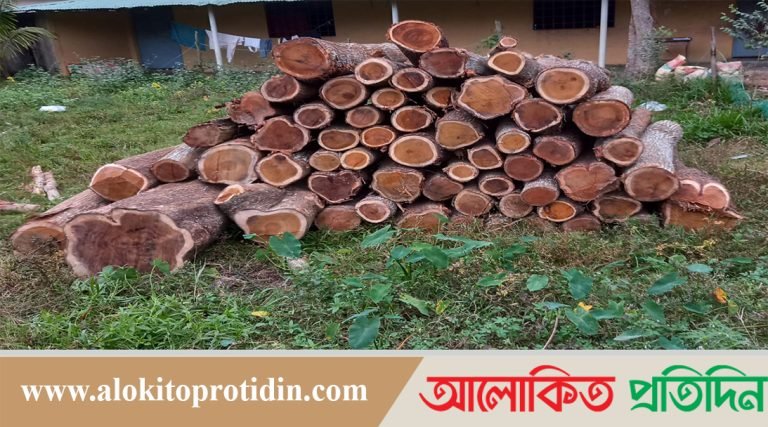 পিএমখালীতে পুলিশের সহযোগিতায় ডাম্পার ভর্তি কাঠ জব্দ  