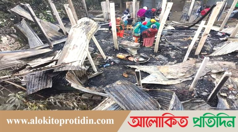 গজারিয়ায় দু -র্বৃ-ত্তে-র দেওয়া আ-গু-নে বসতঘর পু-ড়ে ছাই