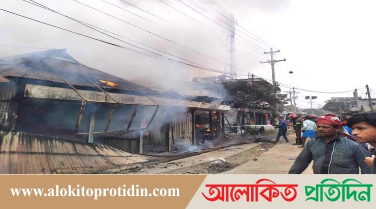 বিজয়নগরে আগুনে মার্কেট পুড়ে ছাই