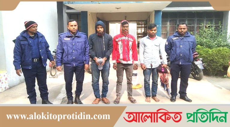 বেলকুচিতে গরু চুরি করতে গিয়ে জনগণের হাতে ৩ চোর আটক