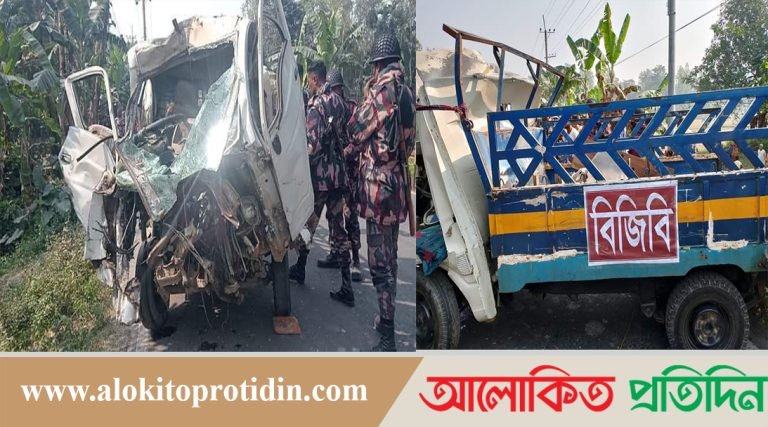 বাস এবং বিজিবি'র টহল পিকআপের সংঘর্ষে পলাশবাড়ীতে আহত ৮