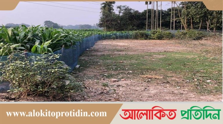 বাবার দেয়া কথা রাখতে নারাজ সন্তানেরা