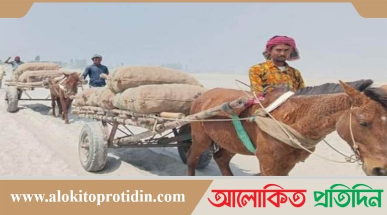 গাইবান্ধার চরাঞ্চলে যাত্রীসহ পণ্য পরিবহনে একমাত্র জান হচ্ছে ঘোড়ার গাড়ি