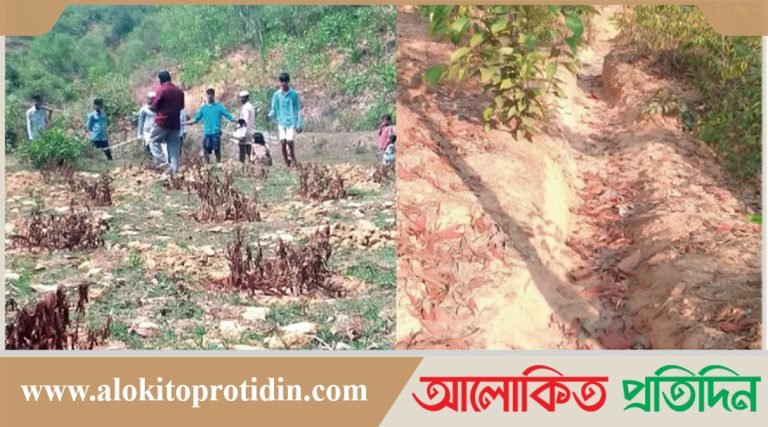 কক্সবাজারে বনখেকো হাকিম বাহিনীর কবল থেকে ৫০ একর বনভুমি উদ্ধার 