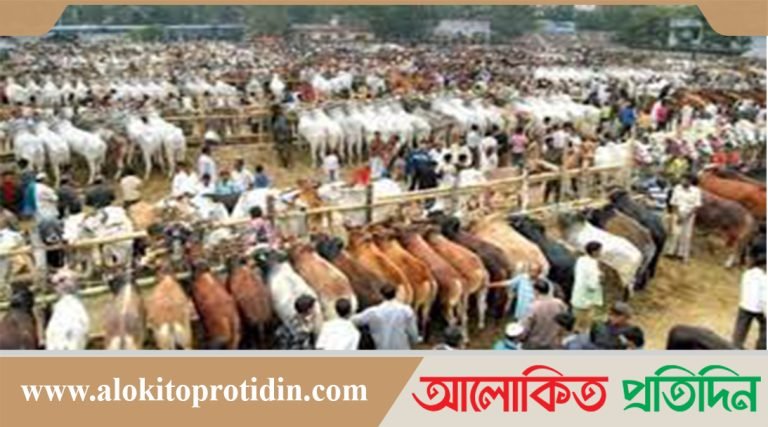 এশিয়ার সবচেয়ে বড় কোরবানির পশুর হাট বসবে করাচিতে