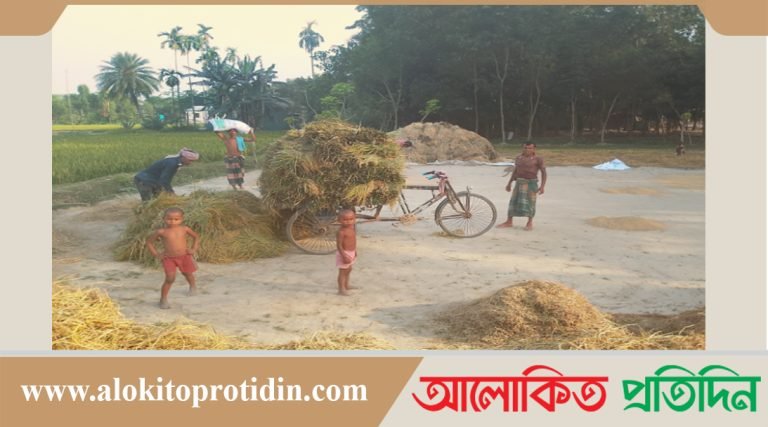ফুলবাড়িয়ায় প্রচন্ড তাপদাহে অতিষ্ঠ জন জীবন