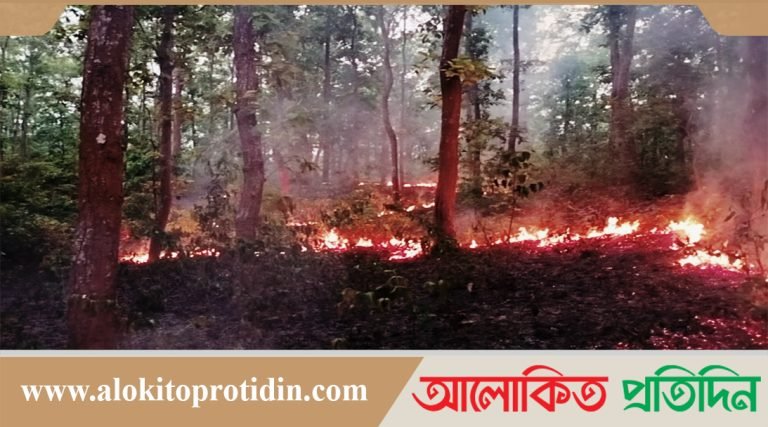 পুড়ছে সবুজ, দেখার নেই কেউ