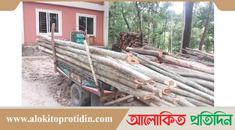 বনবিভাগের পৃথক অভিযানে চিরাই কাঠসহ আকাশমনি বল্লী উ-দ্ধা-র 