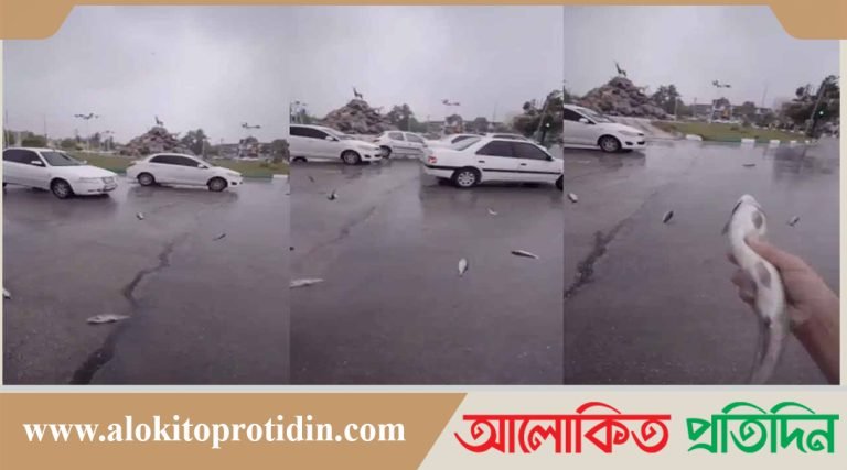 ইরানে হলো ‘মাছ বৃষ্টি’, তাজ্জব নেটদুনিয়া