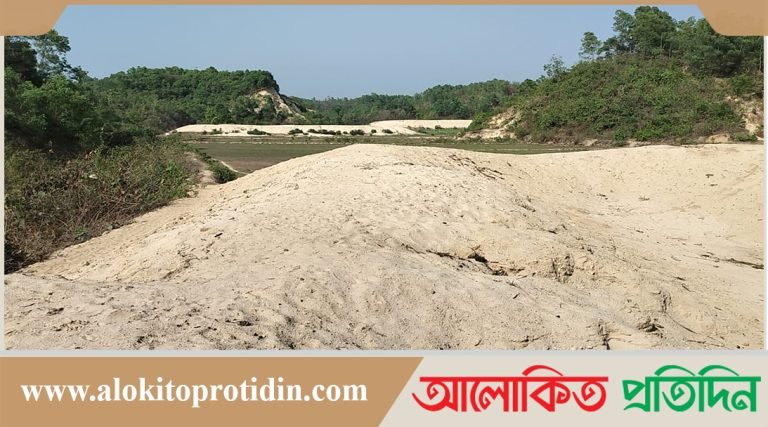 জব্দ বালু বনে মিশিয়ে দেওয়ার আদেশ পুনর্বহাল