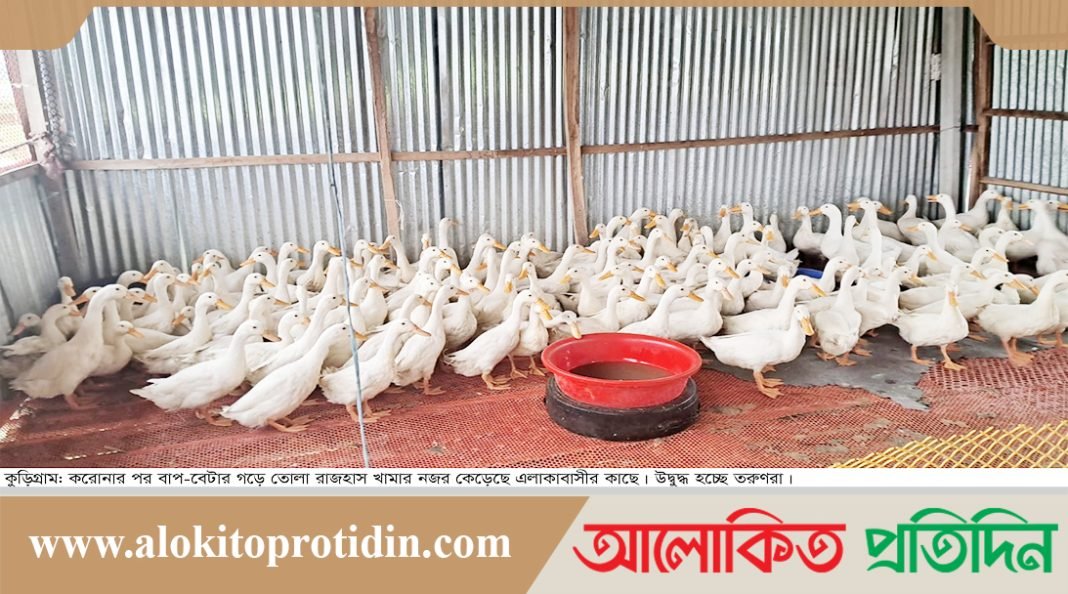 কুড়িগ্রামে পেকিং রাজহাঁসের খামার পাল্টে দিয়েছে বেকার যুবকের ভাগ্য