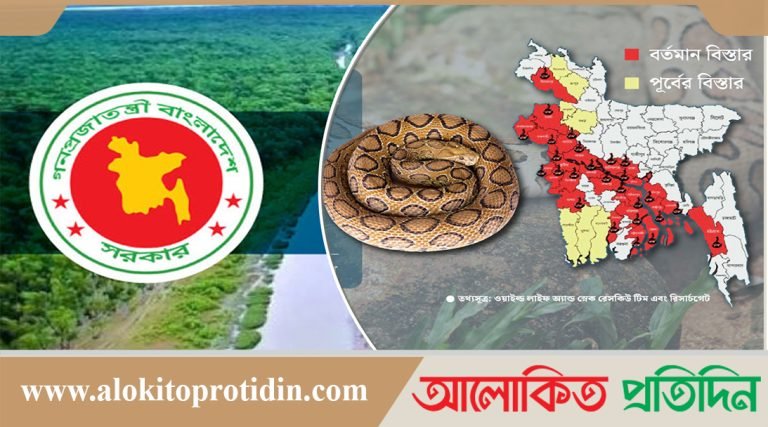 রাসেলস ভাইপার নিয়ে আতঙ্ক নয়, কামড়ে কী করণীয়: পরিবেশ ও বন মন্ত্রণালয়