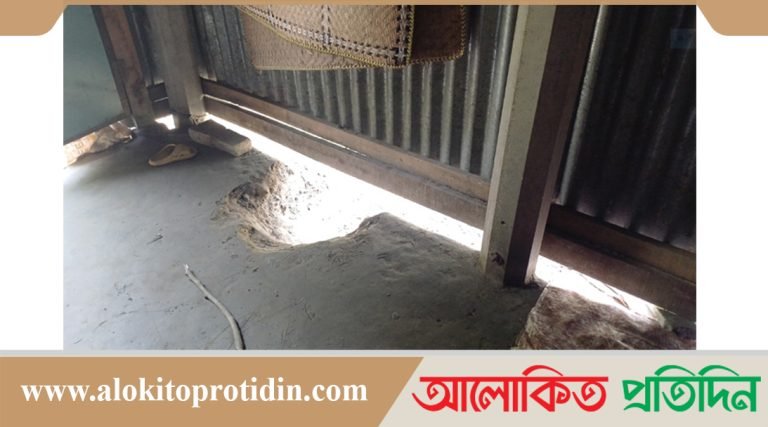 রায়পুরে হাত-পা বেঁধে প্রবাসীর স্ত্রীকে ধর্ষণ চেষ্টা, বিয়ের প্রস্তাব ২ চোরের!