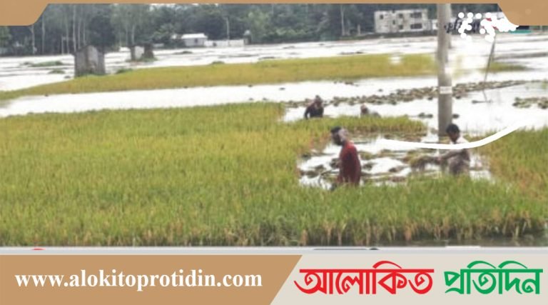 কুমিল্লায় সাপের কামড়ে কৃষকের মৃত্যু