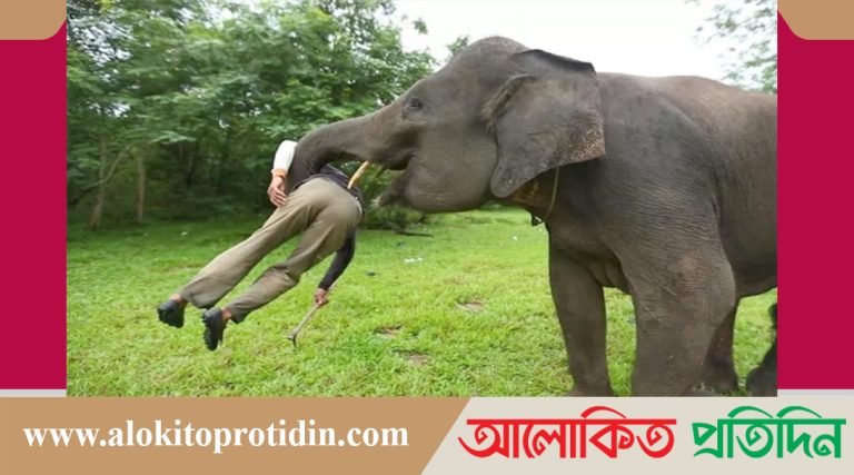 চাঁদায় অসন্তুষ্ট হয়ে শুঁড়ে পেছিয়ে আছাড়,ওষুধ ব্যবসায়ীর মৃ*ত্যু