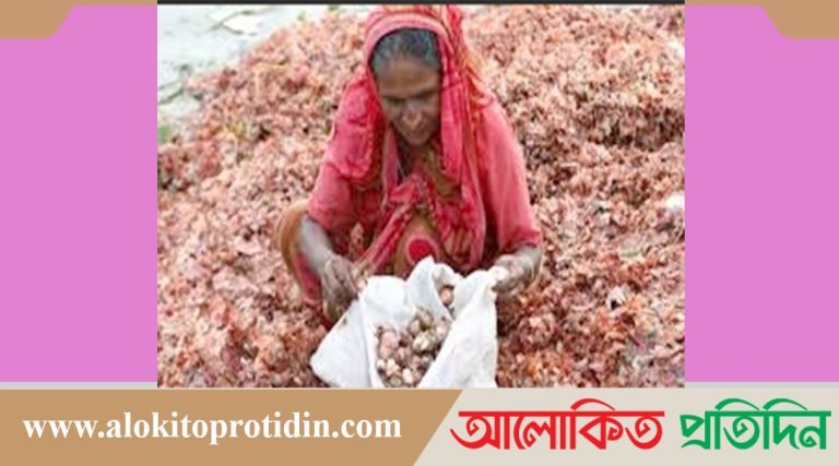বাজার লাগামহীন, ফেলে দেওয়া খোসায় খুঁজছেন পেঁয়াজ?