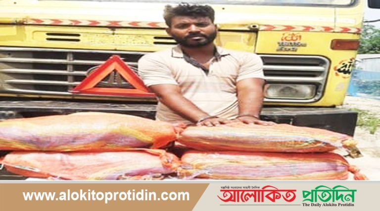 ধানের বস্তায় গাঁজা পাচারকালে মাদক কারবারি আটক