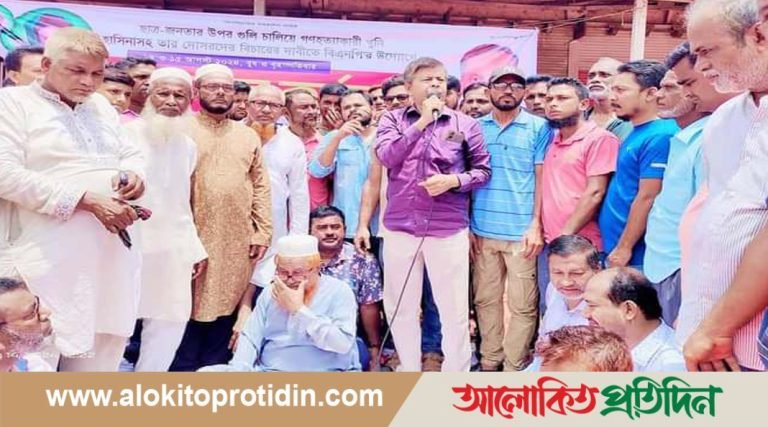 বোরহানউদ্দিনে বিএনপির অবস্থান কর্মসূচি