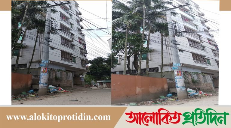 ওসি মফিজের একাধিক বহুতল ভবনের সন্ধান, বৈধ আয়ের উৎস কি?