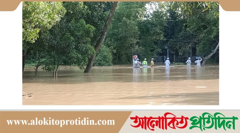 ত্রাণের জন্য হাহাকার মনোহরগঞ্জ ও নাঙ্গলকোটের বানভাসি মানুষের