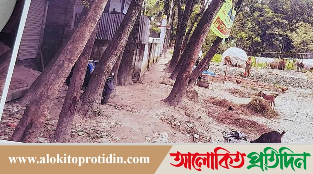 চার ট্রাক মাটির দাম এক লাখ ১৯০ টাকা