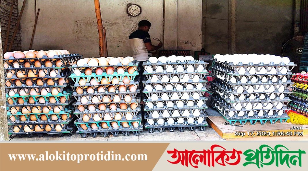 নাগরপুরে ডিমের দাম বৃদ্ধি,ক্রেতাদের মাঝে অস্বস্থির ক্ষোভ