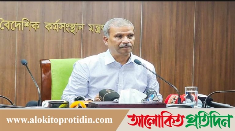 বিমানবন্দরে ভিআইপি সার্ভিস পাবেন প্রবাসী রেমিট্যান্স যোদ্ধারা: আসিফ নজরুল