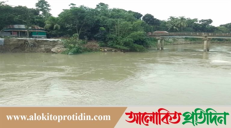 ইছামতি নদীর তান্ডবে অসহায় কুস্তা গ্রামের বসতিরা