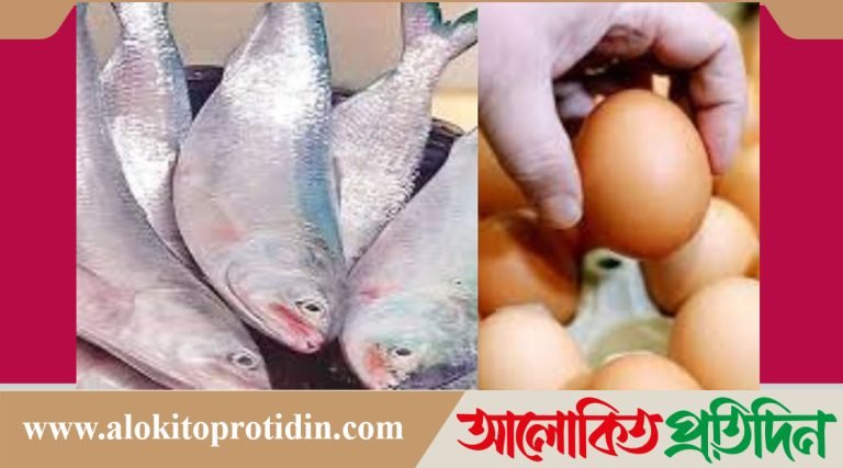 ভারতীয় ব্যবসায়ীদের প্রশ্ন, ডিম পাঠাচ্ছি, ইলিশ পাবো না কেন?