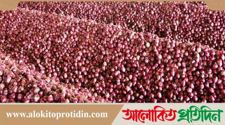 পেঁয়াজ রপ্তানির শর্ত শিথিল ভারতের